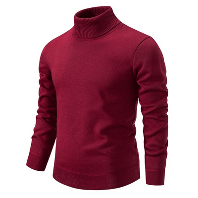 Anselm | Stilvoller Rollkragenpullover