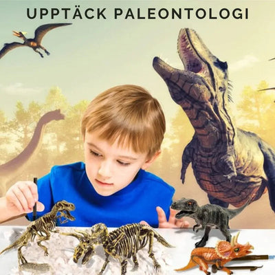 DinoLearn | Lehrreiches Dinosaurier-Fossilien-Set