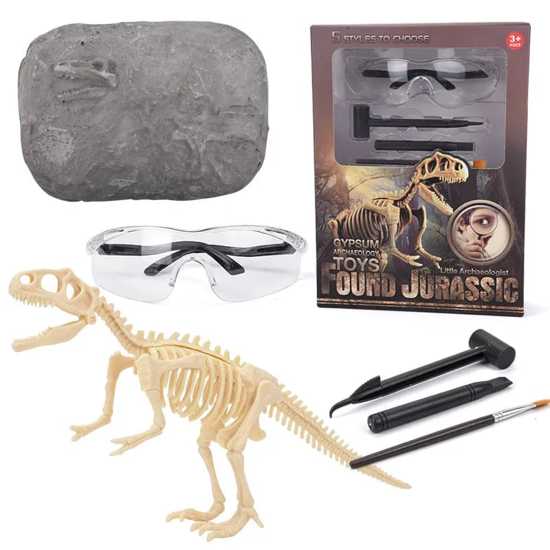 DinoLearn | Lehrreiches Dinosaurier-Fossilien-Set