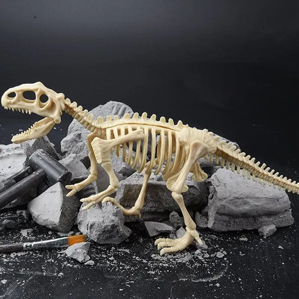 DinoLearn | Lehrreiches Dinosaurier-Fossilien-Set