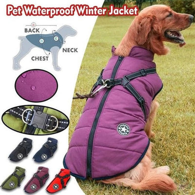 CozyBuddy | Wasserdichter Wintermantel für Hunde