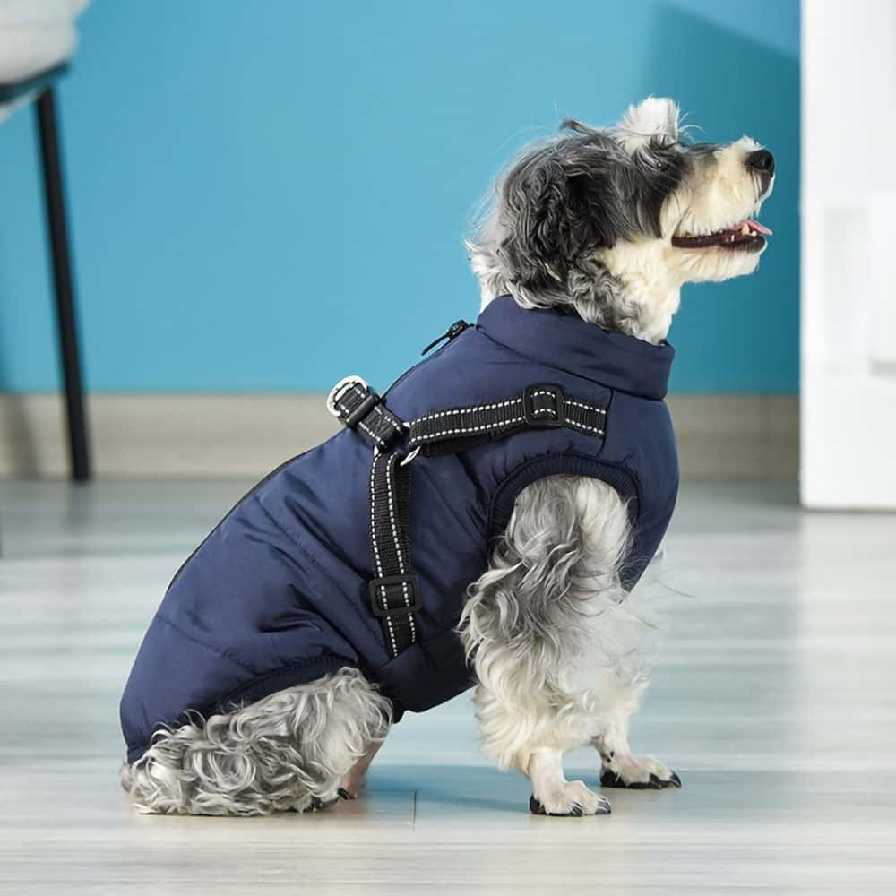 CozyBuddy | Wasserdichter Wintermantel für Hunde