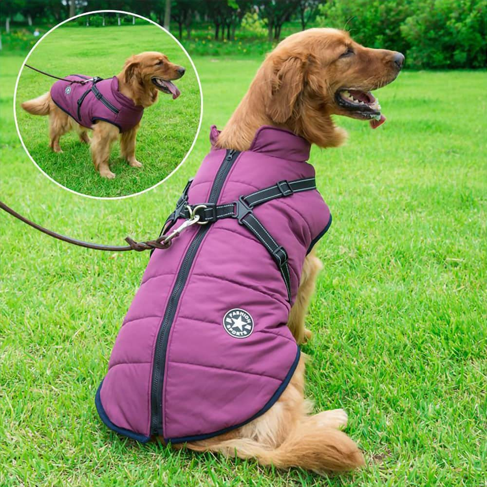 CozyBuddy | Wasserdichter Wintermantel für Hunde